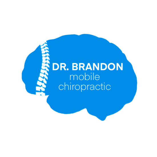 Company Logo - Dr. Brandon Mobile